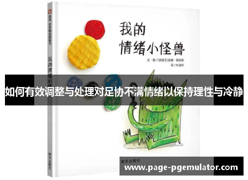 如何有效调整与处理对足协不满情绪以保持理性与冷静