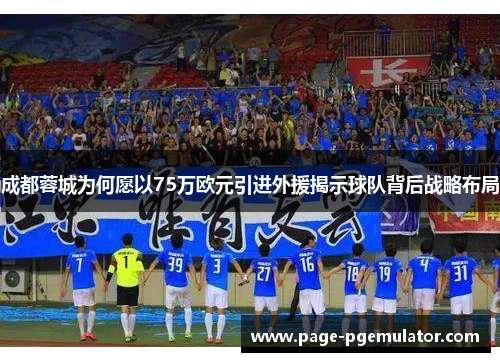 成都蓉城为何愿以75万欧元引进外援揭示球队背后战略布局