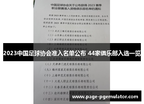 2023中国足球协会准入名单公布 44家俱乐部入选一览