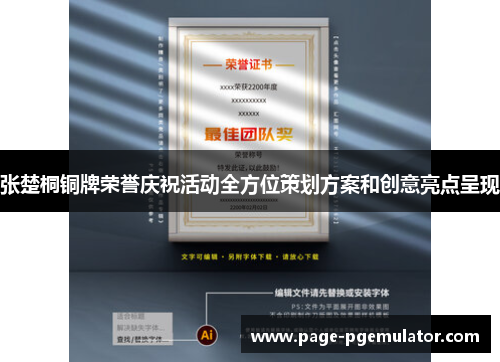 张楚桐铜牌荣誉庆祝活动全方位策划方案和创意亮点呈现