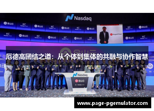 厄德高团结之道：从个体到集体的共融与协作智慧