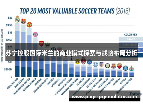 苏宁控股国际米兰的商业模式探索与战略布局分析 苏宁控股国际米兰的商业模式探索与战略布局分析