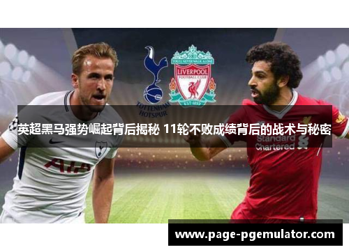 英超黑马强势崛起背后揭秘 11轮不败成绩背后的战术与秘密 英超黑马强势崛起背后揭秘 11轮不败成绩背后的战术与秘密
