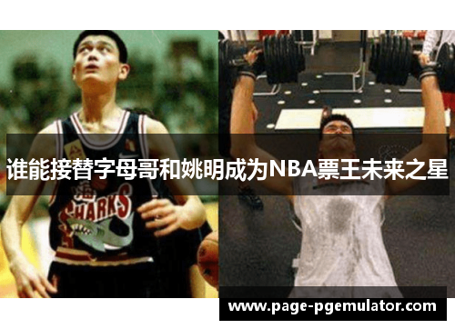 谁能接替字母哥和姚明成为NBA票王未来之星 谁能接替字母哥和姚明成为NBA票王未来之星