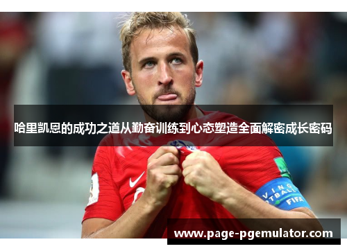 哈里凯恩的成功之道从勤奋训练到心态塑造全面解密成长密码 哈里凯恩的成功之道从勤奋训练到心态塑造全面解密成长密码