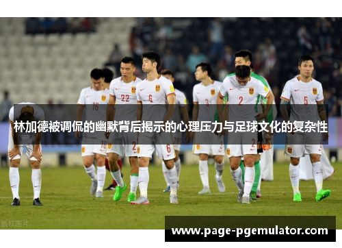 林加德被调侃的幽默背后揭示的心理压力与足球文化的复杂性 林加德被调侃的幽默背后揭示的心理压力与足球文化的复杂性
