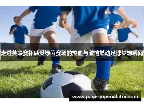 走进英联赛杯感受绿茵赛场的热血与激情燃动足球梦想瞬间 走进英联赛杯感受绿茵赛场的热血与激情燃动足球梦想瞬间