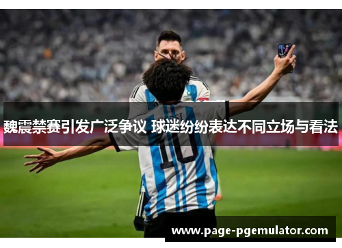 魏震禁赛引发广泛争议 球迷纷纷表达不同立场与看法