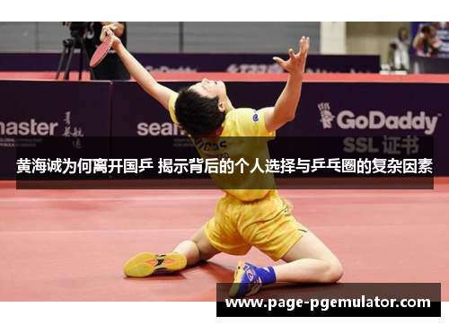 黄海诚为何离开国乒 揭示背后的个人选择与乒乓圈的复杂因素