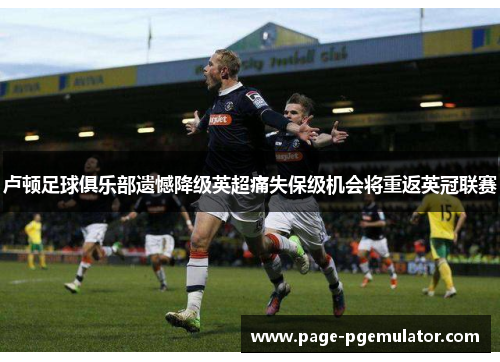 卢顿足球俱乐部遗憾降级英超痛失保级机会将重返英冠联赛