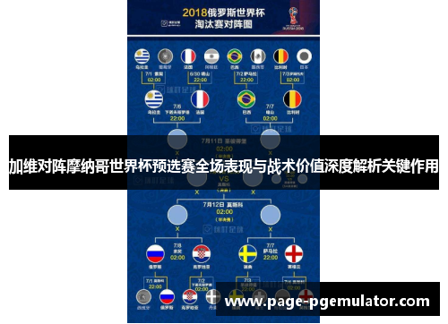 加维对阵摩纳哥世界杯预选赛全场表现与战术价值深度解析关键作用