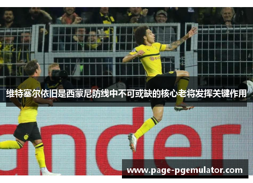 维特塞尔依旧是西蒙尼防线中不可或缺的核心老将发挥关键作用