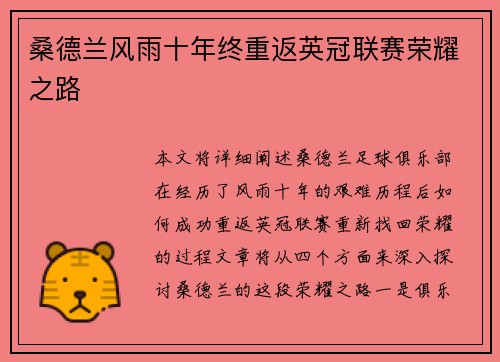 桑德兰风雨十年终重返英冠联赛荣耀之路